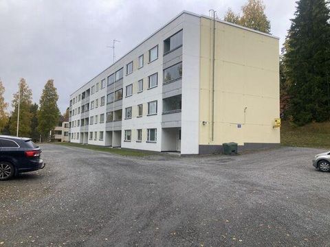 Appartement dans Finlande centrale