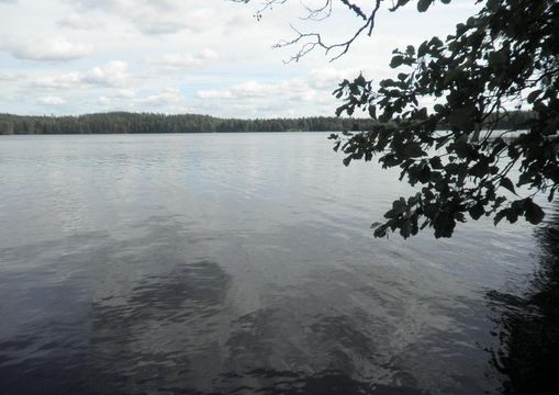 Terre dans Ruokolahti