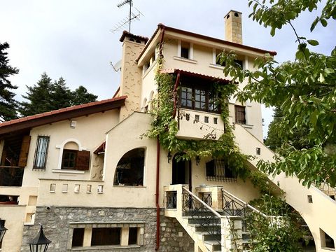 Villa dans Arachova