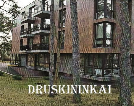 Appartement dans Druskininkai