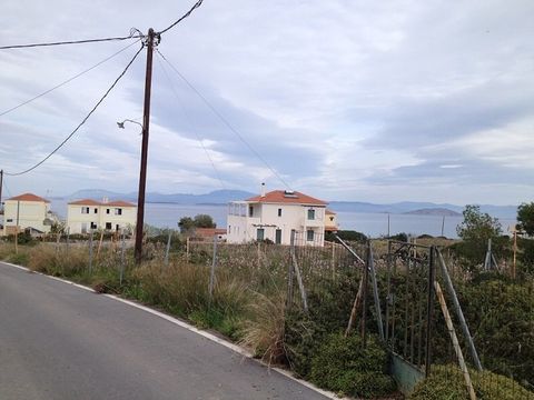 Terre dans Aegina