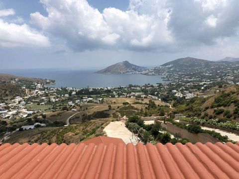 Immobilier commercial dans Aegean