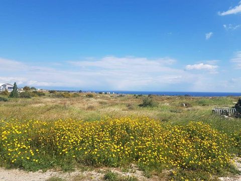 Terre dans District de Famagusta