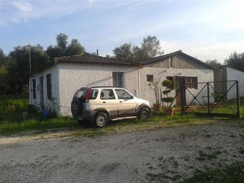 Maison individuelle dans Zakynthos