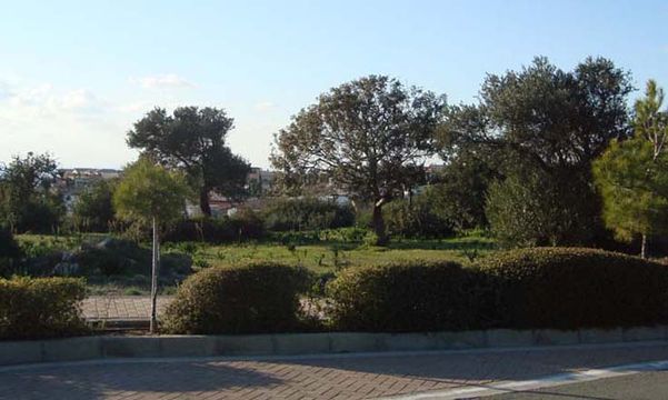 Terre dans Paphos
