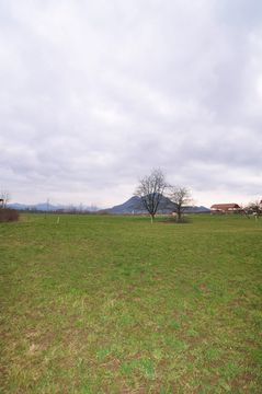 Terre dans Šiška