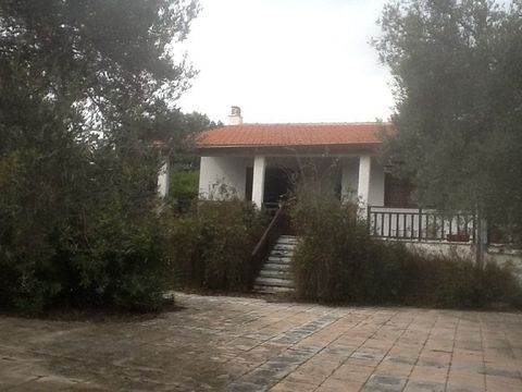 House dans Penteli