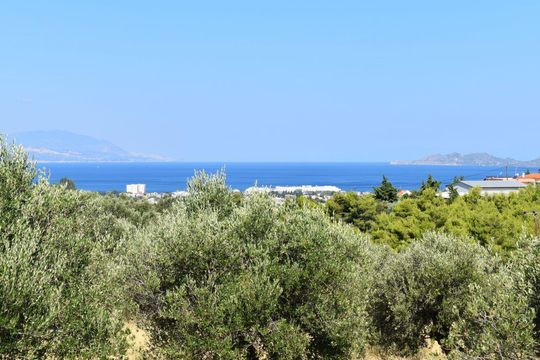Terre dans Peloponnese, Grèce occidentale et Ionian