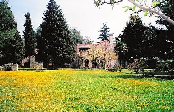 Villa dans Novigrad