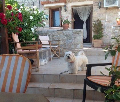 Maison individuelle dans Chios