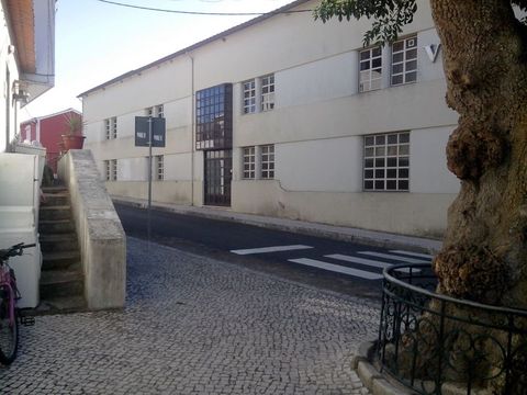 Immobilier industriel dans Alcobaça