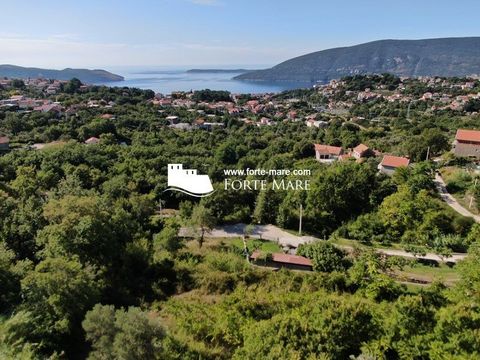 Terre dans Herceg Novi